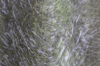 Portslade Village fibreglass roof work